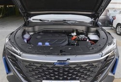保持海角社區服務: 新能源車潮流走向解析