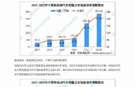 海角官網: 新能源汽車的未來發展走向調查