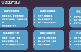 海角社區服務: 高科技助力社區治理新模式