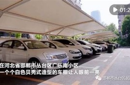 保持海角社區(qū)服務(wù):推動(dòng)綠色生活新風(fēng)尚