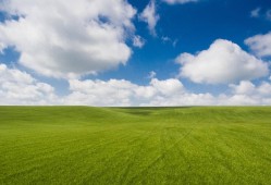 海角社區App：近期熱門影視推薦及評價