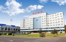 海角APP: 新能源汽車市場火爆調查