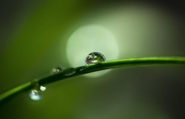 《反轉(zhuǎn)人生》：誰是真正的幕后黑手？