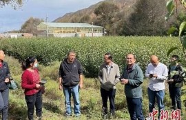 保持海角社區服務: 數字經濟助力鄉村振興