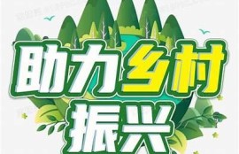 保持海角社區服務: 綠色經濟助力可持續發展