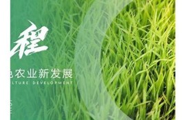 海角社區服務: 綠色生活倡議助力可持續發展