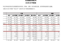 海角官網(wǎng): 新能源車市場爆發(fā)，銷量創(chuàng)新高!