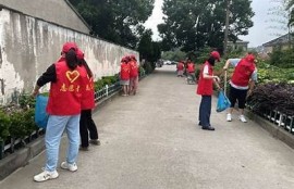 海角社區服務: 關注綠色環保新動態