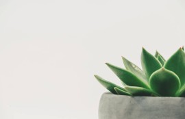 1. 《電影分享：最新文藝片推薦》
2. 《2023文藝電影熱搜榜單》
3. 《近期值得觀看的文藝影片》
4. 《當代文藝電影高分推薦》
5. 《熱播文藝影片及觀后感》