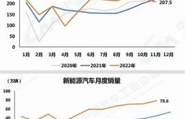 海角APP: 新能源汽車市場(chǎng)爆發(fā)的背后
