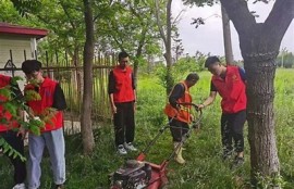 保持海角社區(qū)服務:年輕人關注的環(huán)境保護行動