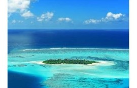 海角社區(qū)網(wǎng)站: 全球氣候峰會引發(fā)熱議