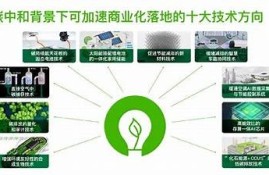 保持海角社區: 碳中和新政策落地，引領綠色未來