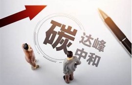 海角官網: 碳中和新政策引關注！