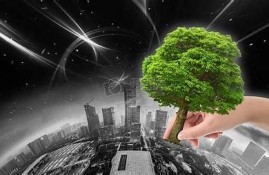 海角社區: 綠色能源的未來展望
