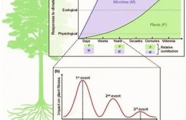 海角社區(qū): 全球氣候變化新試驗(yàn)揭示新方向