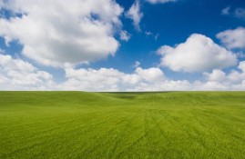 1. "家庭倫理劇熱潮：2023年新劇推薦"
2. "探討家庭倫理：影視作品中的人性"
3. "2023年家庭倫理影片你看了嗎?"
4. "影視劇中的家庭責任與選擇"
5. "熱門家庭倫理劇背后的社會思考"