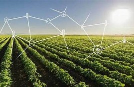 海角官網: AI技術推動未來發展新動向