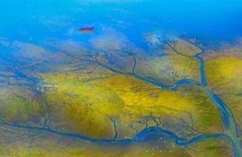 海角社區登錄：2023年全球氣候峰會召開！