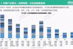 海角社區: 新能源汽車的未來方向解析