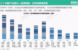 海角社區: 新能源汽車的未來發展走向解析