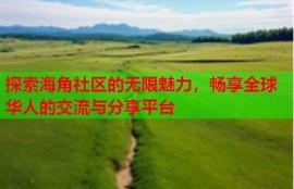 海角社區網站: 2023全球氣候峰會圓滿結束  
海角社區網站: AI技術改變生活的未來  
海角社區網站: 熱門電影背后的故事揭秘  
海角社區網站: 健康飲食新動向來襲  
海角社區網站: 足球世界杯精彩瞬間回顧  
