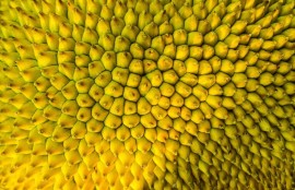 彎彎成人福利APP免費(fèi)下載與使用指南
