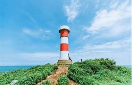 海角社區入口: 新能源汽車市場大熱！