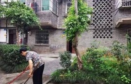海角社區(qū): 擁抱綠色生活，共建美好家園