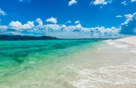《夏日狂歡》：歡笑與感動交織的青春喜劇