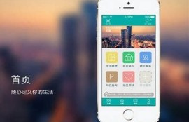 海角社區app: 新能源汽車政策出爐引關注