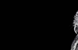 2023年熱門古裝劇盤點(diǎn)與研究
