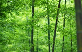 《影史神作》：近期熱播影視盤點與解析